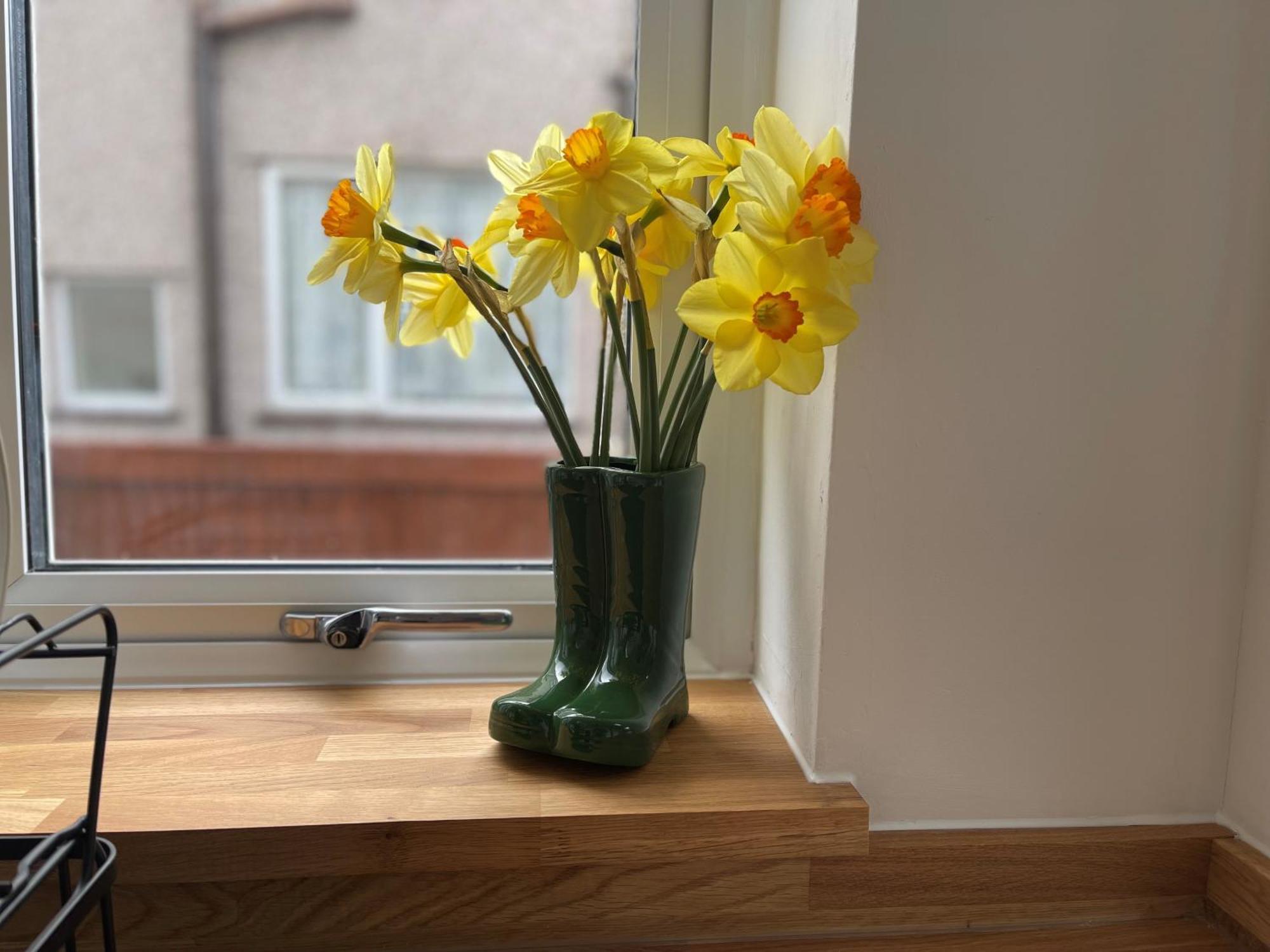 45 Mold Road Leilighet Wrexham Eksteriør bilde